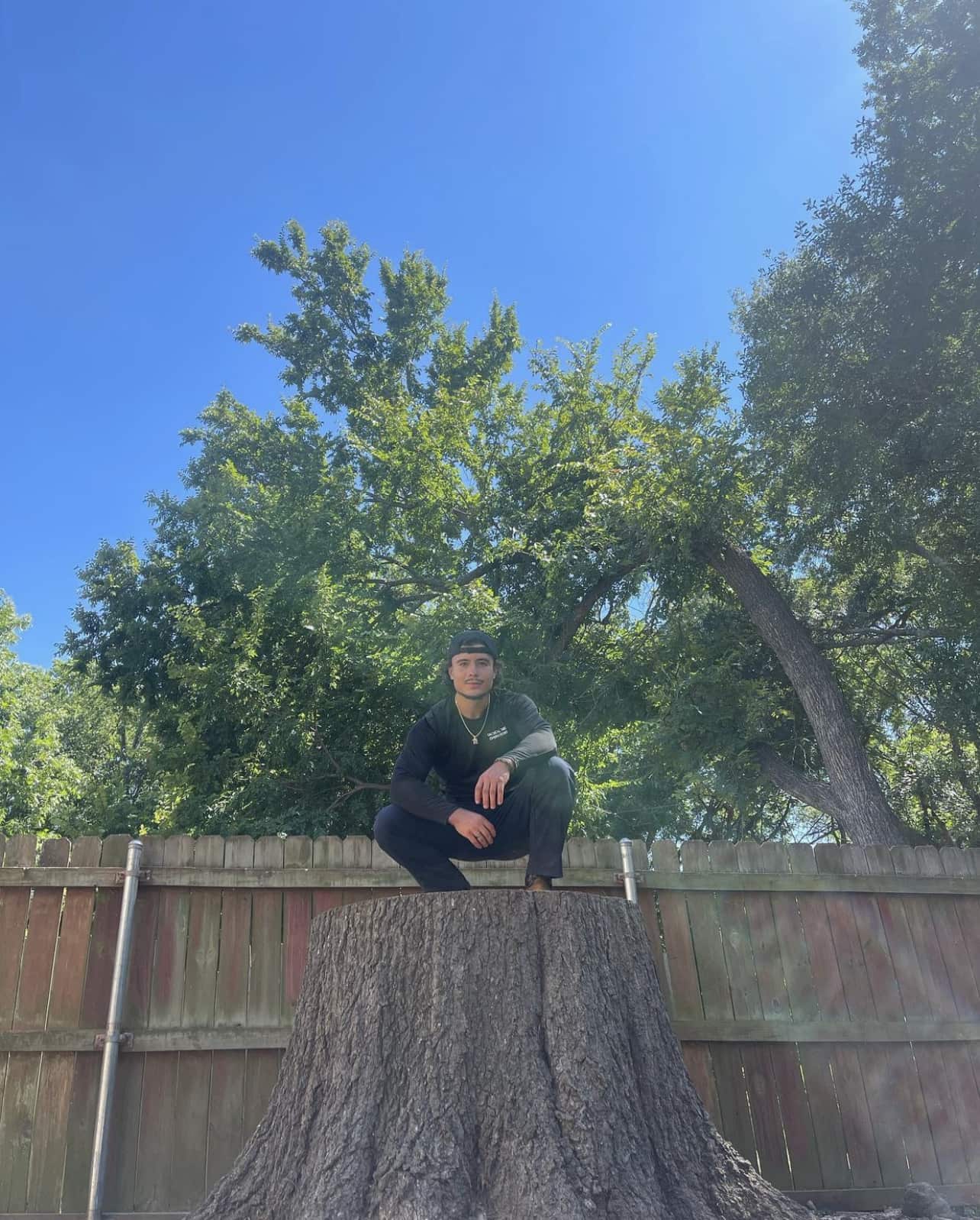 Completed tree work projects by Tactical Tree Operations in Dallas
