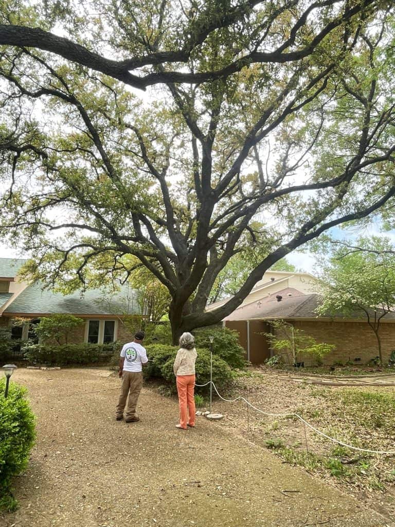 Tactical Tree Operations founder and lead arborist